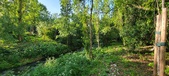 Enlarge photo 107