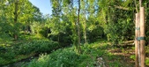 Enlarge photo 111