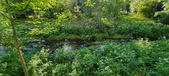 Enlarge photo 110