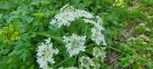 Enlarge photo 114