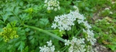 Enlarge photo 119