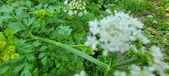 Enlarge photo 118