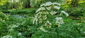 Enlarge photo 120