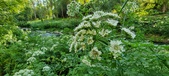 Enlarge photo 121