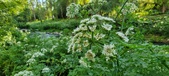 Enlarge photo 122