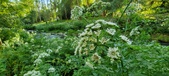 Enlarge photo 123