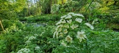 Enlarge photo 124