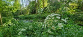 Enlarge photo 125