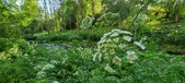 Enlarge photo 126
