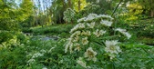 Enlarge photo 127
