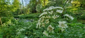 Enlarge photo 128