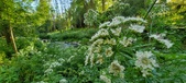 Enlarge photo 129