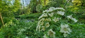 Enlarge photo 130