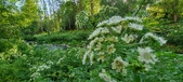 Enlarge photo 131
