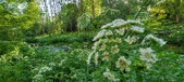 Enlarge photo 132