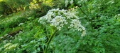 Enlarge photo 133