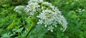 Enlarge photo 141