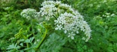 Enlarge photo 142