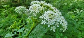 Enlarge photo 143