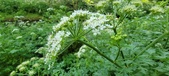 Enlarge photo 144