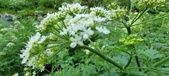 Enlarge photo 145