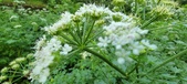Enlarge photo 146