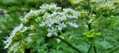 Enlarge photo 148