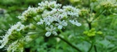 Enlarge photo 149