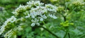 Enlarge photo 150
