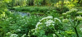 Enlarge photo 151