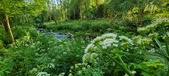 Enlarge photo 152