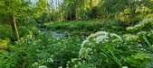 Enlarge photo 153