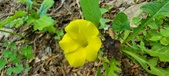 Enlarge photo 154