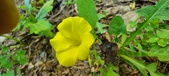 Enlarge photo 155