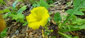 Enlarge photo 156