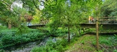 Enlarge photo 157