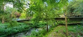 Enlarge photo 159