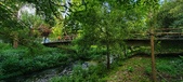 Enlarge photo 163