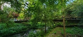 Enlarge photo 161