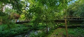 Enlarge photo 160