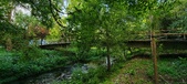 Enlarge photo 165