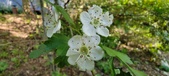 Enlarge photo 166