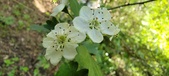 Enlarge photo 167