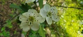 Enlarge photo 168