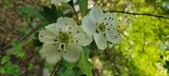 Enlarge photo 169