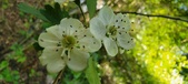 Enlarge photo 170