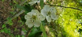 Enlarge photo 184