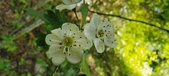 Enlarge photo 172