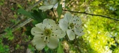 Enlarge photo 173