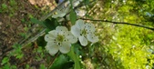 Enlarge photo 174